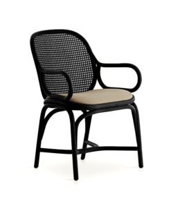 Alternative view of Elephant